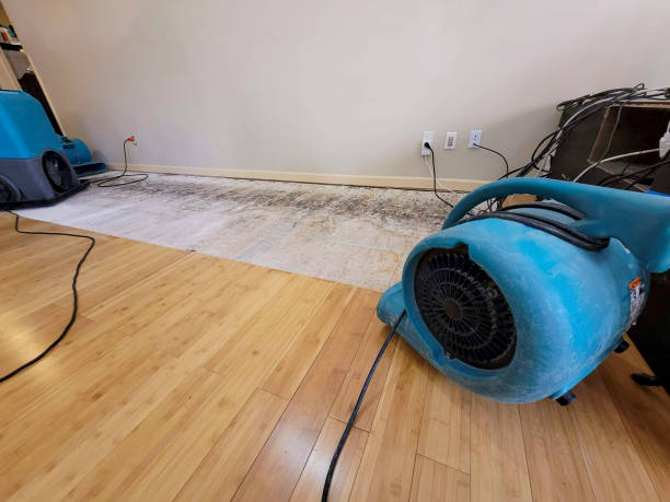 Professional Basement Flood Cleanup technician working in Hunter, ND